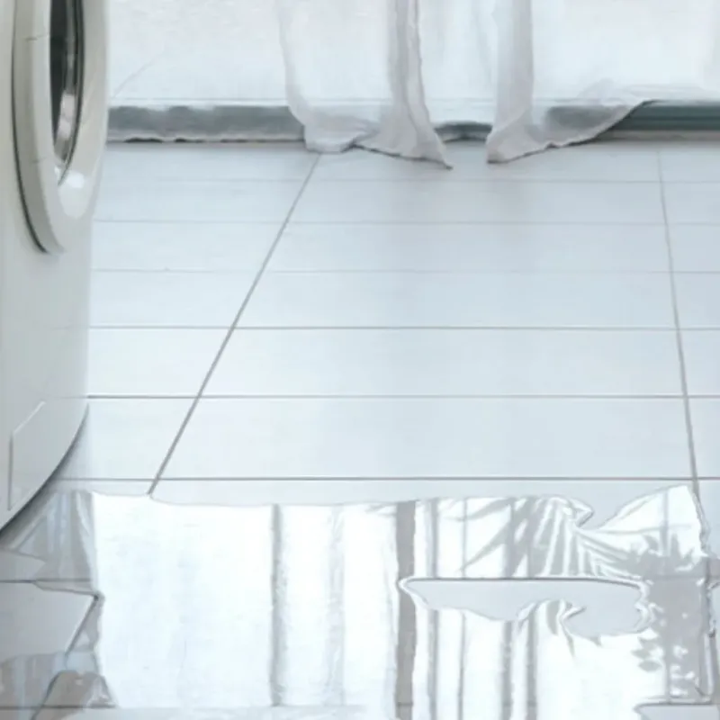 Appliance Leak Cleanup in Burtonsville, MD